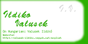 ildiko valusek business card