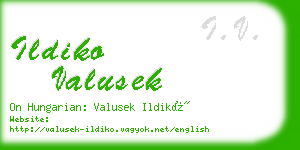 ildiko valusek business card